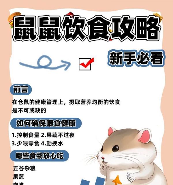 猫粮可以给仓鼠吃吗？如何正确喂食仓鼠猫粮？