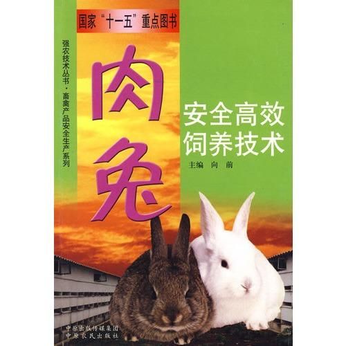 养宠蛇攻略:安全饲养,快乐相伴!