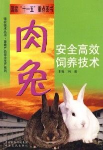 养宠蛇攻略:安全饲养,快乐相伴!