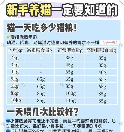 十二岁猫咪国外推荐猫粮？如何选择合适品牌？
