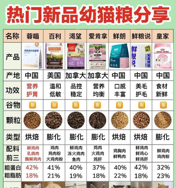 一个月大的猫咪应该吃什么猫粮？如何选择合适的猫粮？