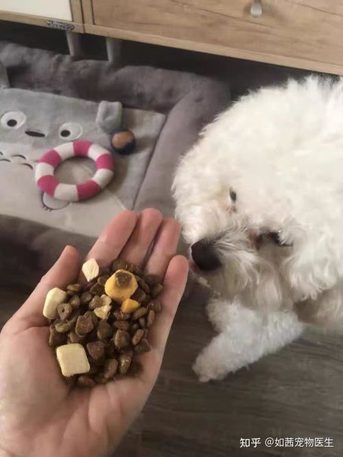 天然食材,健康宠物首选狗粮