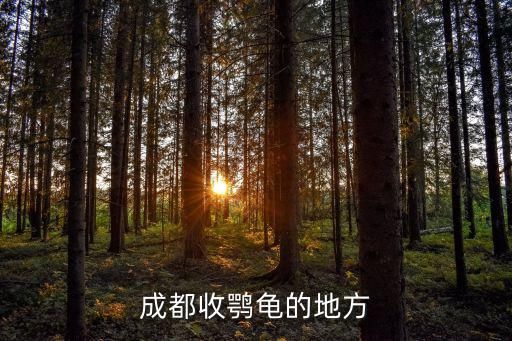 成都收鹗龟的地方