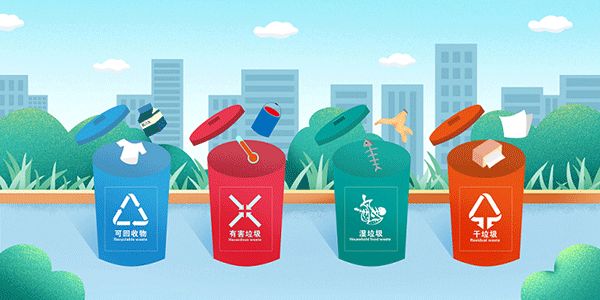 猫要怎么样培训