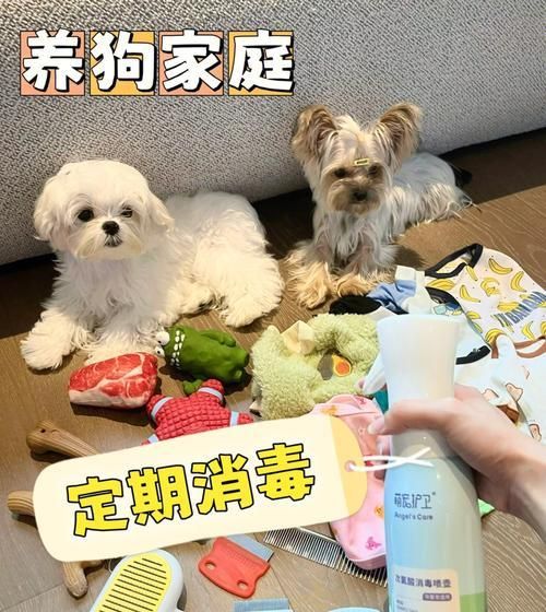 秋天宠物健康指南（预防秋季常见宠物疾病，让狗狗健康过秋）