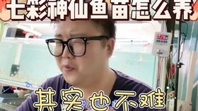 孔雀鱼繁殖技巧分享