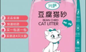 兴萨猫砂以创新技术引领行业，打造宠物清洁新标杆