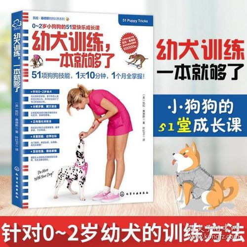 宠物训练攻略 | 视频文教程集锦