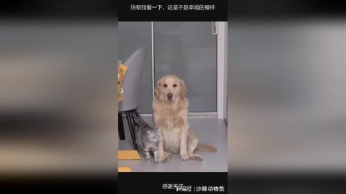 快帮我看一下，这是不是幸福的模样