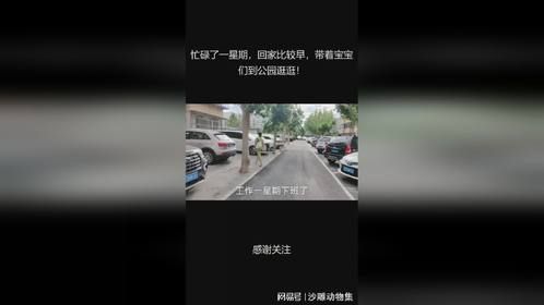 忙碌了一星期，回家比较早，带着宝宝们到公园逛逛！