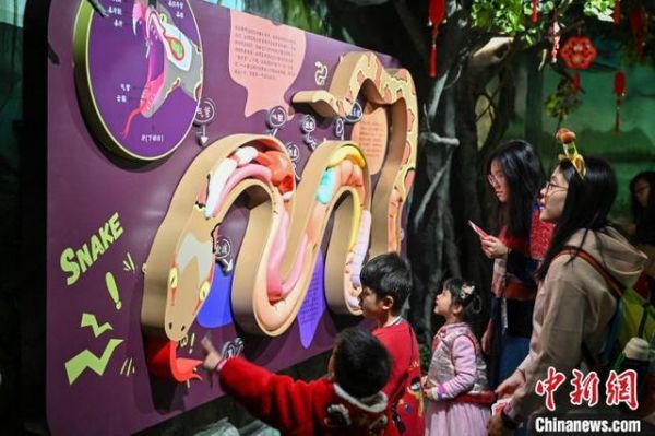 图为蛇馆内的蛇类科普装置吸引游客。中新社记者 陈骥旻 摄