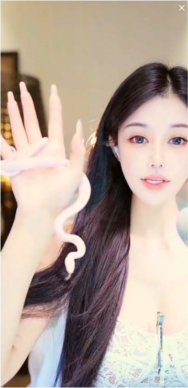 白蛇缠手，兰梦莎养奇特宠物现身直播间！