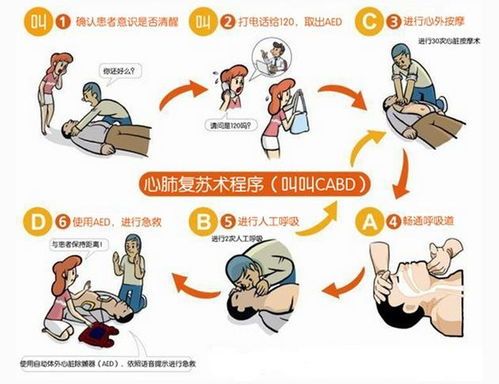 宠物窒息急救:速学宠物心肺复苏!