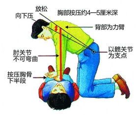 宠物溺水急救:立即排水,心肺复苏。
