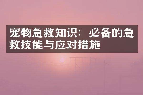 宠物急救知识：必备的急救技能与应对措施