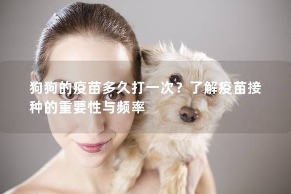 狗狗的疫苗多久打一次？了解疫苗接种的重要性与频率