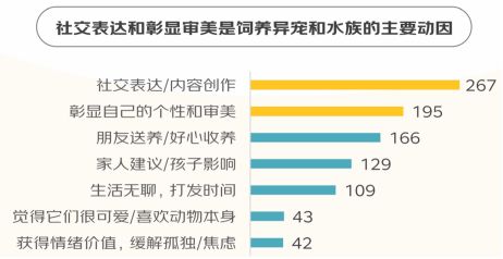 (资料来源:京东消费及产业发展研究院)