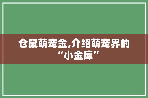 仓鼠萌宠金,介绍萌宠界的“小金库”