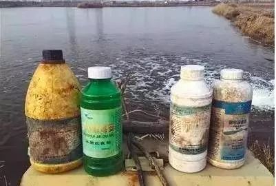 “自家鱼塘,宠物般养殖,无证无药,安心享用。”
