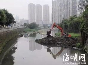 宠物鱼塘焕新记:轻松清淤,水质UP!