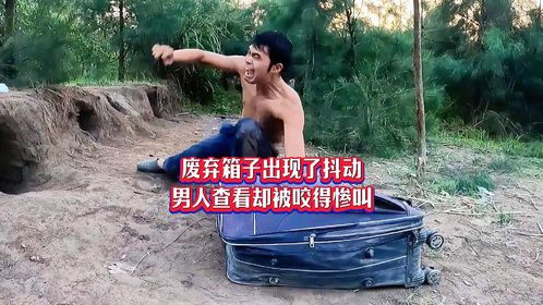 废弃箱子出现了抖动，村民查看却被咬得惨叫，里面躲着什么呢