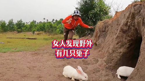 女人发现野外有几只兔子，她抓兔子却发生意外，地窖里有怪东西