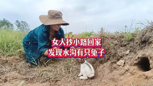 女人抄小路回家，发现水沟边有只兔子，她抓捕却被吓得逃跑
