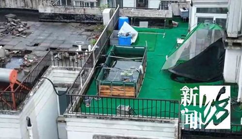“集装箱鱼塘,宠物新宠儿!”