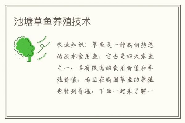 池塘草鱼养殖技术