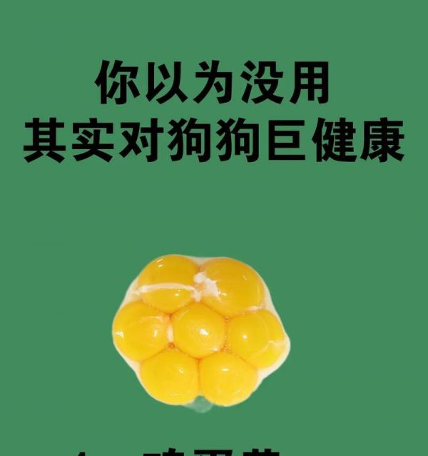 狗狗为什么突然挑食了？（探究狗狗挑食行为的原因及应对方法）