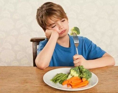 宠物挑食因食物单一或口味不适应。