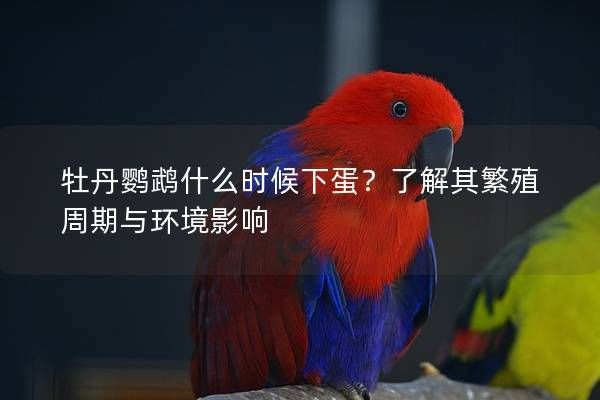 牡丹鹦鹉什么时候下蛋？了解其繁殖周期与环境影响