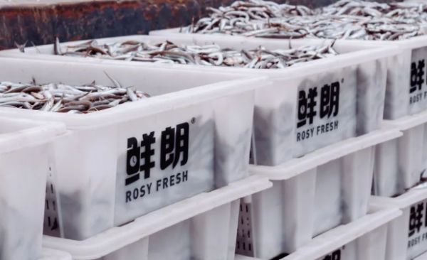 鲜朗携手中国国家地理，探寻宠粮新鲜之源！