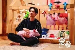 钟汉良携新片《宠爱》来南京：女友和宠物我都要
