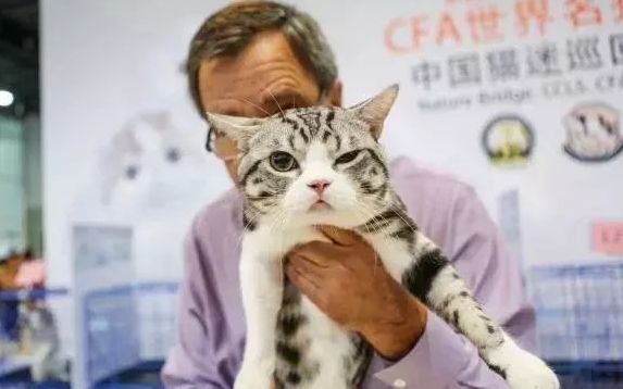 今日华南宠物展拉开序幕！华元有哪些活动？可以蹭到哪些福利？ 