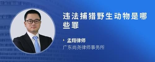 违法捕猎野生动物是哪些罪