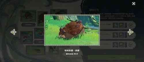 原神动物行为有哪些？动物行为介绍[多图]图片2