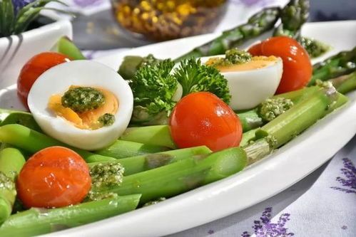 宠物饮食:避免骨头卡胃,健康饮食关键