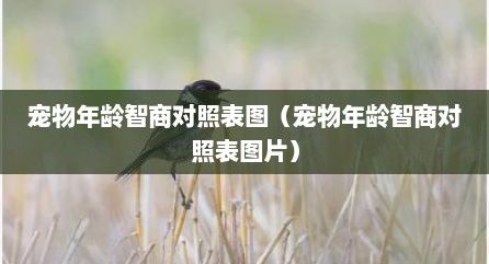 宠物年龄智商对照表图（宠物年龄智商对照表图片）