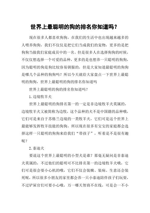 世界上最聪明的狗的排名你知道吗？