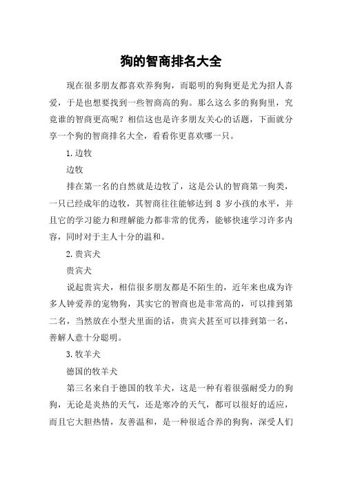 狗的智商排名大全