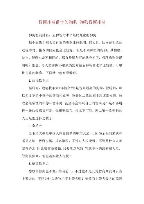 智商排名前十的狗狗-狗狗智商排名