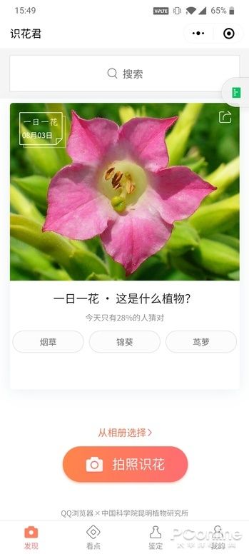 拍照懂鸟
