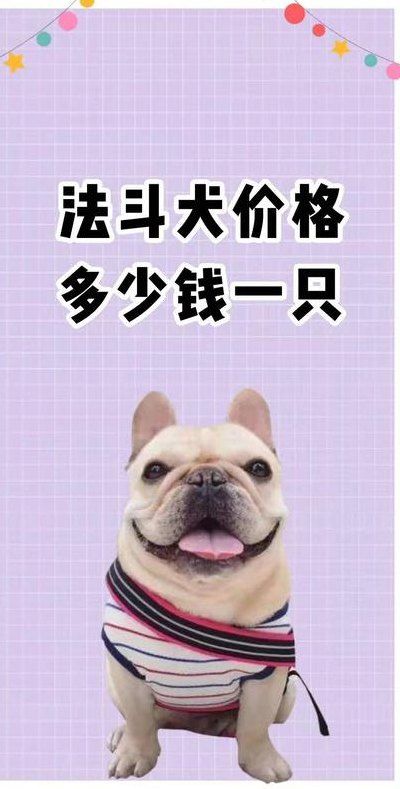 法斗价格（法斗价格大概多少钱一只）