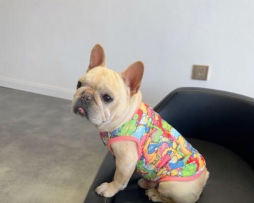 法斗与巴哥犬（探索法斗和巴哥犬的特点与价值，帮助你选择合适的宠物犬）