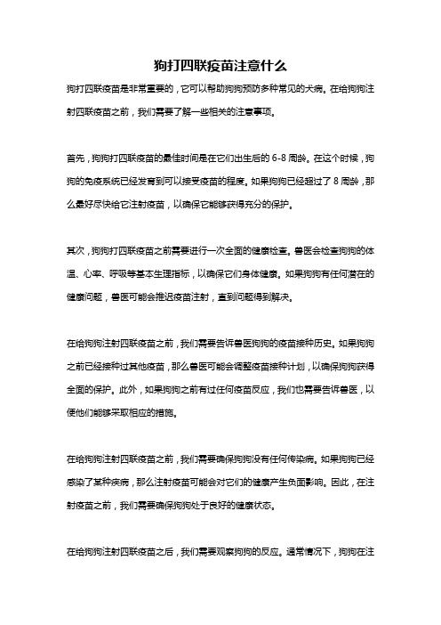 狗打四联疫苗注意什么