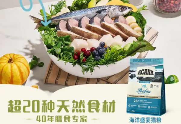 滋益巅峰和爱肯拿猫粮有什么区别？深度对比分析与推荐