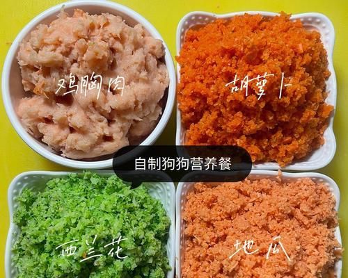 狗狗的营养需求与最佳饮食选择（揭秘狗狗饮食中的重要营养元素及最佳来源）