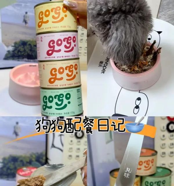 狗狗的营养需求与饮食管理（让你的宠物拥有健康饮食，幸福一生）