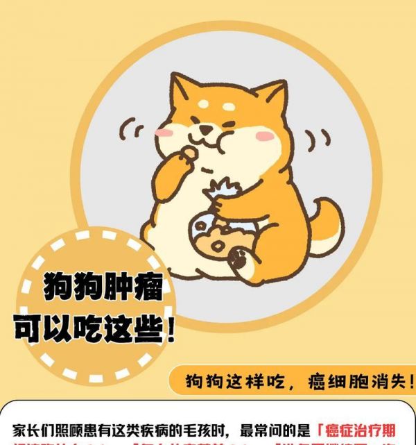 狗狗的营养需求与健康饮食（探索狗狗最适合的饮食，让它们健康快乐）
